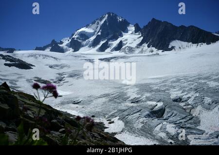 Glacier Trient, Aiguille du Chardonnet, französische alpen,> von Hut Albert 1er, Haute Savoie, Frankreich aus gesehen Stockfoto