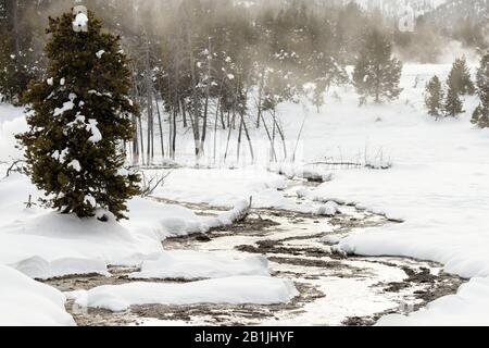 Hotspring in Old Faithful Area, USA, Wyoming, Yellowstone National Park Stockfoto