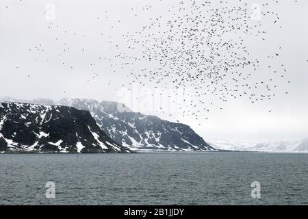 Küstenlandschaft Spitzbergen, Norwegen, Spitzbergen Stockfoto