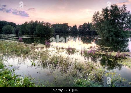 Sonnenuntergang am Fluss IJssel, Niederlande Stockfoto