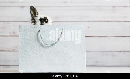 Nahaufnahme des süßen weißen Bunnys sitzt in silberfarbenem Papierbeutel. Geschenkkonzept, Ostern und Weihnachten Holliday Stockfoto