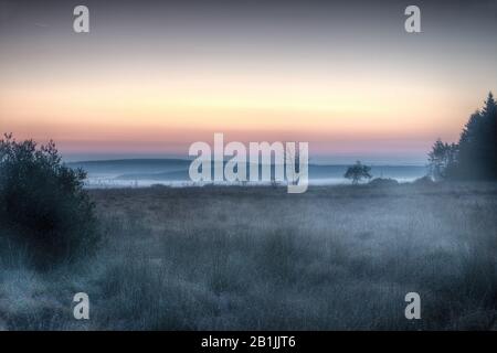 High Fenns bei Sonnenaufgang, Belgien, Hoge Venen Stockfoto