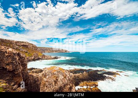 Malerischer Blick auf die Kangaroo Island Küste mit Sea Lions auf den Felsen, South Australia Stockfoto