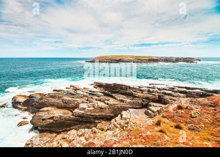 Malerischer Blick auf die Kangaroo Island Küste mit Sea Lions auf den Felsen, South Australia Stockfoto