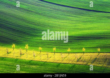 Ländliche Quelllandschaft mit farbigen Streifenhügeln und Baumgarten. Grüne und braune Wellen der Agrarfelder Südmährens, Tschechien Stockfoto