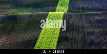 Ländliche Quelllandschaft mit farbigen Streifenhügeln. Grüne und braune Wellen der Agrarfelder Südmährens, Tschechien. Kann wie Naturhintergrund oder Textur verwendet werden Stockfoto