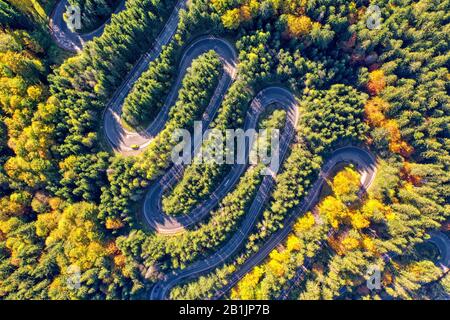 Luftbild einer kurvenreichen Bergstraße, die durch einen Tannenwald führt. Herbstfarben Stockfoto