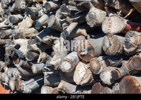 Nahaufnahme kleiner getrockneter Holzstämme, die für Brennholz oder Grill gestapelt sind Stockfoto