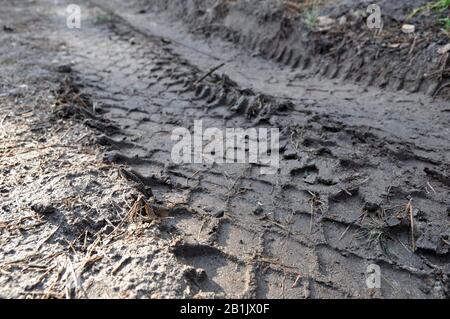 Spuren der Lauffläche eines LKW-Reifens auf dem Boden, Schmutz. Nachverfolgen. Abseits der Straße Stockfoto