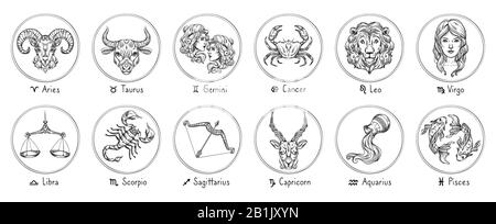 Tierkreiszeichen. Sketch Cancer, Skorpion und Fische. Handgezeichneter Stier, Jungfrau und Steinbock. Widder, Leo und Schütze. Zwillinge, Waage und Wassermann Stock Vektor