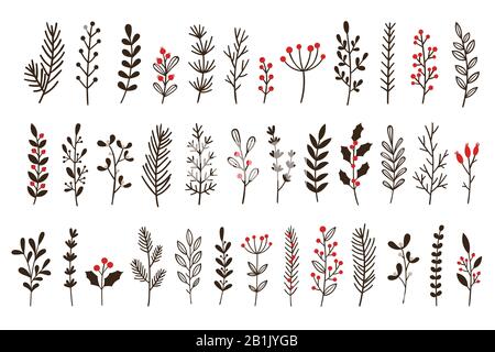 Handgezogene Winterblätter und -Zweige. Blumenperücke, botanischer Zweig mit Beeren- und Blatt-Doodle-Vektorsatz Stock Vektor