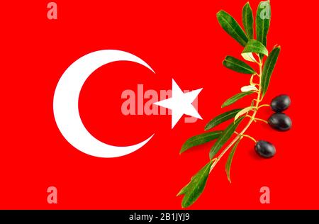 Olivenzweig mit Oliven auf türkische Flagge Stockfoto