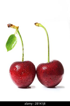 Kirschen, die isoliert auf weißem Hintergrund Stockfoto