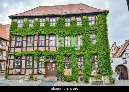 Quedlinburg, Deutschland - 19. Juni 2016. Ivy-verkleidter historischer Fachwerkbau in Quedlinburg, der Gewerbeimmobilien beherbergt. Stockfoto