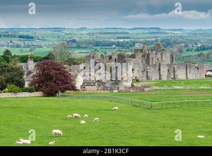 Sommerblick auf Middleham Castle in Wensleydale, North Yorkshire Stockfoto