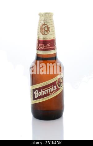 Irvine, CA - 12. JANUAR 2015: Eine Flasche Bohemia Bier isoliert auf Weiß. Aus Cerveceria Cuauhtemoc-Moctezuma, gegründet im Jahr 1890, heute eine Tochtergesellschaft von Stockfoto