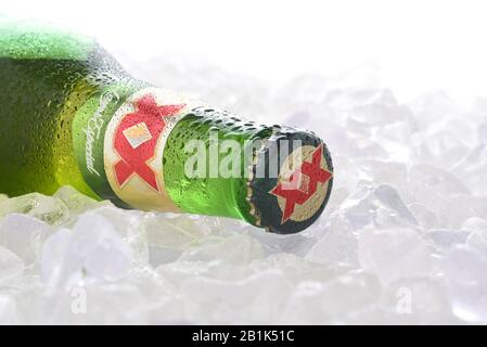 Irvine, CA - 14. JUNI 2017: DOS Equis Blanca auf Eis. Eine einzige Flasche des beliebten Bieres der Cuauhtemoc-Moctezuma Brewery in Monterrey, Mexiko Stockfoto