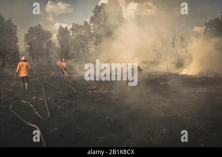 Riau, Indonesien. Februar 2020. Die Feuerwehrleute versuchen, den Pfirschenbrand im Dorf Sri Meranti in Pekanbaru, Riau, Indonesien, 26. Februar 2020 zu löschen. Kredit: Afrianto Silalahi/Xinhua/Alamy Live News Stockfoto