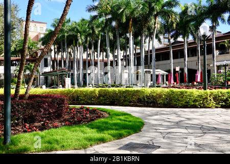 Schöne Palmen am Morgen in der Brise im Innenhof der eleganten Geschäfte des Morick Park Outdoor-Einkaufszentrums Coral Gables, Miami, Florida. Stockfoto