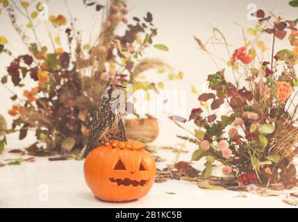 Kleine Kürbisse und brennende Kerzen in der Nähe von Haufen trockener Blumen und Blätter in Nebel während der Halloween-Feier Stockfoto