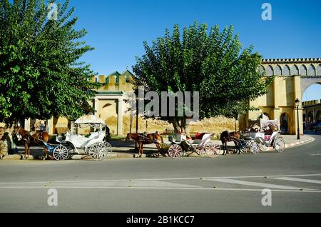 Marokko, Meknes, Pferdekaochen am Bab Moulay Ismail Stockfoto