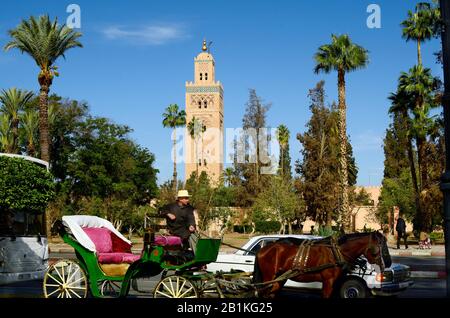 Marrakesch, Marokko - 23. November 2014: Nicht identifizierter Kutscher auf traditionellem Pferdetrainer vor der Koutoubia-Moschee Stockfoto