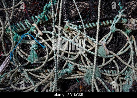 Hummertöpfe und Seile, Portmagee Harbour, County Kerry, Irland Stockfoto