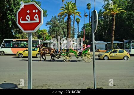 Marrakesch, Marokko - 23. November 2014: Nicht identifizierte Menschen und Pferdetrainer, eine bevorzugte Touristenattraktion Stockfoto