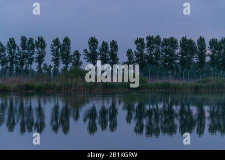 Sonnenaufgangslandschaften vom Fluss Mincio, Mantua, Italien Stockfoto