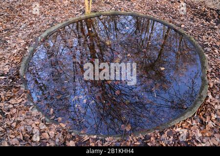 Krakauer. Krakow. Polen. Wolski Forrest und Stadtpark. Kleiner Mann machte Teich in der Vorruhe. Eine Trinkschale für die wilden Tiere. Stockfoto