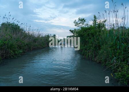 Sonnenaufgangslandschaften vom Fluss Mincio, Mantua, Italien Stockfoto