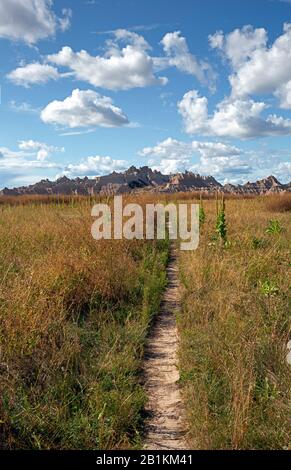 SD00210-00...SOUTH DAKOTA - Trail die hohe Vegetation entlang des Castle Trail im Badlands National Park. Stockfoto