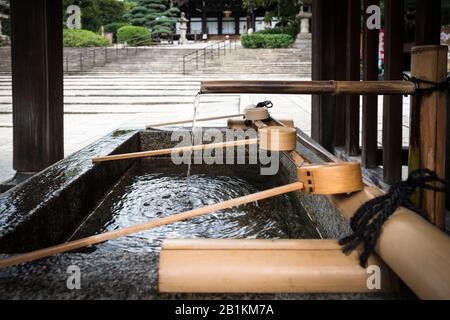 Reihe von Bambuspfannen am Tsukubai, Reinigungsbecken, Otani Hombyo, einem buddhistischen Tempel, Kyoto Stockfoto