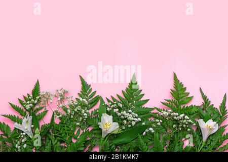 Kreativer Hintergrund aus grünem Farn und weißen Frühlingsblumen auf Rosa. Draufsicht. Stockfoto