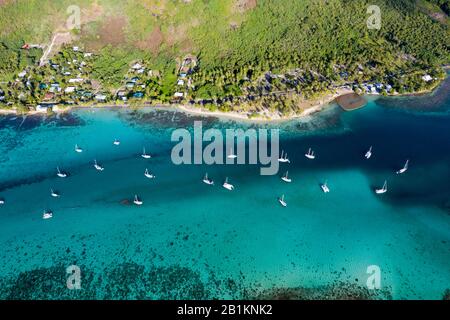 Luftansicht der Opunohu Bay, Moorea, Französisch-Polynesien Stockfoto