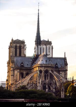 Blick auf die östliche façade der Kathedrale Notre-Dame mit den fliegenden Strebepfeilern, aufgenommen am späten Nachmittag in Paris, Frankreich Stockfoto