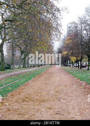 Reitbahn, auf der James Hewitt HRH Princess Diana bei der Pferdefahrt unterrichtete, Hyde Park, London, England. Stockfoto