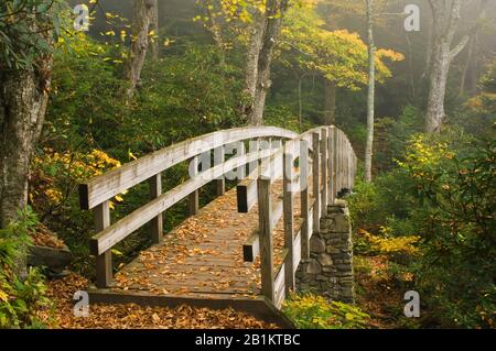 Tanawha Trail Bridge on Rough Ridge, Blue Ridge Parkway, Grandfather Mountain, NC, USA, von Bill Lea/Dembinsky Photo Assoc Stockfoto