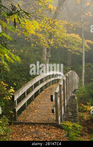 Tanawha Trail Bridge on Rough Ridge, Blue Ridge Parkway, Grandfather Mountain, NC, USA, von Bill Lea/Dembinsky Photo Assoc Stockfoto