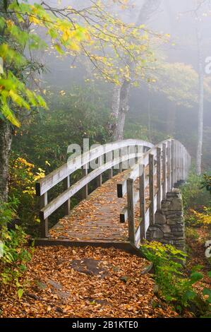 Tanawha Trail Bridge on Rough Ridge, Blue Ridge Parkway, Grandfather Mountain, NC, USA, von Bill Lea/Dembinsky Photo Assoc Stockfoto