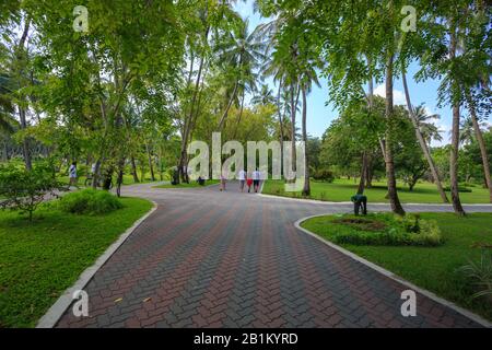 Gepflasterte Wege rund um einen schönen Rasen, der von Kokospalmen umgeben ist Stockfoto