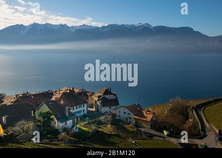 Schöner Genfersee in der Nähe von St. Saphorin in der Schweiz Stockfoto