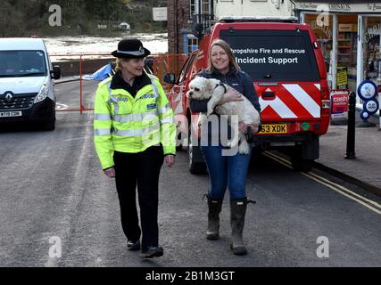 Ironbridge 26. Februar 2020 Es waren nicht nur Menschen, die eine helfende Hand brauchten, als die Fluss-Severn-Überschwemmungsbarrieren kompromittiert wurden. Harry, der Hund, war zu Hause gestrandet, während sein Besitzer Verwandte besuchte und da sie nicht rechtzeitig zurück konnte, um ihn zu evakuieren, so nannte sie Telford & Wrekin Council. So ist Harry nun in sicheren Händen mit Ratsfrau Carolyn Healy, bis sein Besitzer nach Hause kommt. Credit: David Bagnall/Alamy Live News Stockfoto