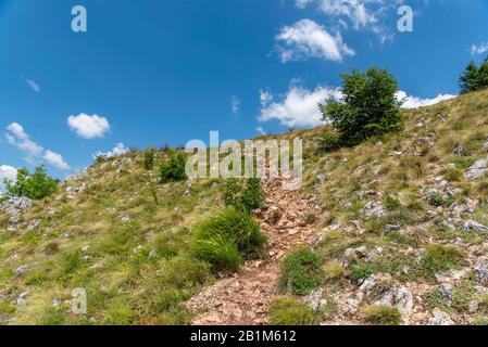 Spezielles Naturreservat Uvac, Serbien. Sommerzeit Stockfoto