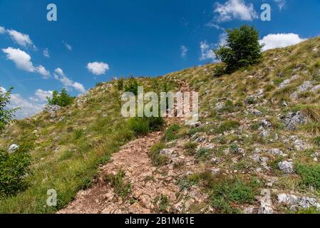 Spezielles Naturreservat Uvac, Serbien. Sommerzeit Stockfoto