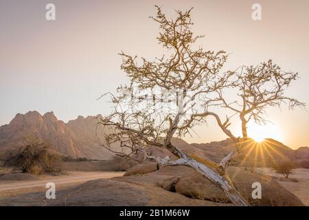 Die Pondoks in der Nähe des Spitzkope-Berges in Namibia in Afrika. Stockfoto