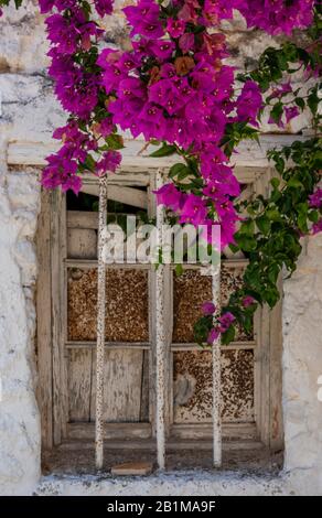 Ein altes verderbtes Gebäude und zerbrochenes Fenster im schäbigen Stil in einem griechischen Dorf auf der Insel korfu mit Blumen, die oben aus Körben hängen, Stockfoto