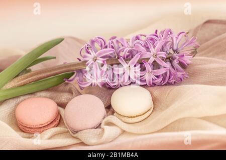 Drei Makronen in verschiedenen Farben und verschiedenen Geschmacksrichtungen und Frühlingsblumen, zärtlicher Pastellhintergrund. Romantischer Morgen Stockfoto