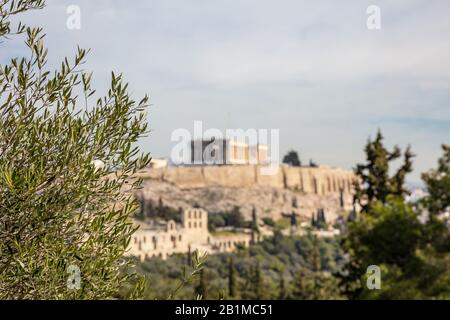 Athen, Griechenland. Akropolis und Parthenon-Tempel. Die unscharfe Sicht auf das antike Griechenland bleibt vom Philopappos-Hügel aus gesehen. Selektiver Fokus auf Olivenbaum-Brunc Stockfoto