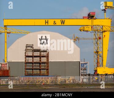 Belfast, Nordirland, Großbritannien - 23. Februar 2020: Einer der riesigen Werftkräne von Harland und Wolff mit einem Gebäude im Hintergrund Stockfoto